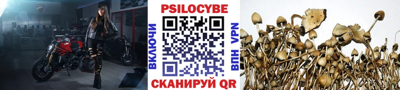 Галлюциногенные грибы MAGIC MUSHROOMS  Калининск 